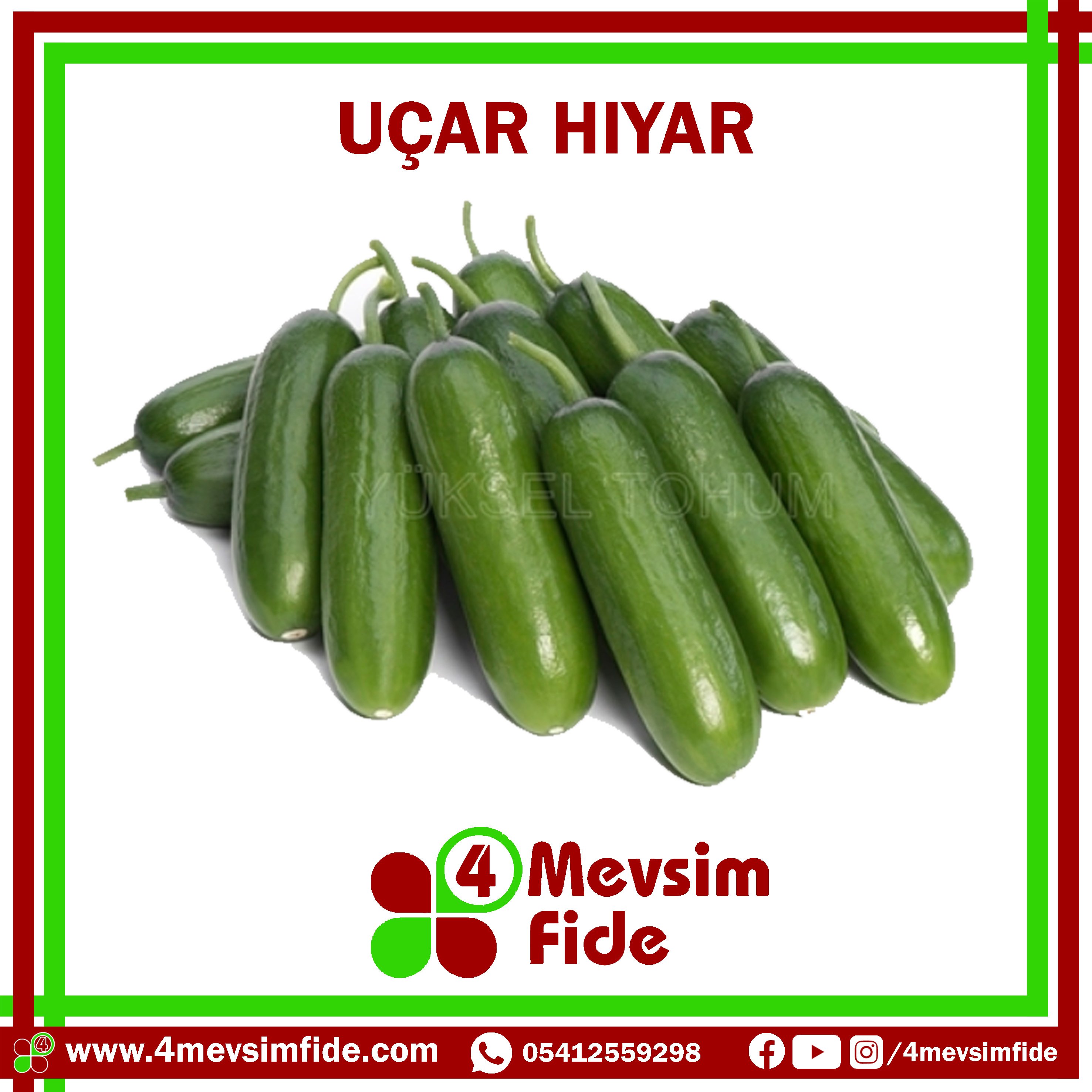 uçar f1 badem hıyar fidesi